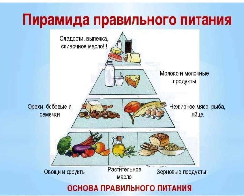 Какой тип питания имеет большинство. Рацион питания основные принципы. Организация рационального питания ОБЖ. Основы правильного питания. Принципы здорового питания.